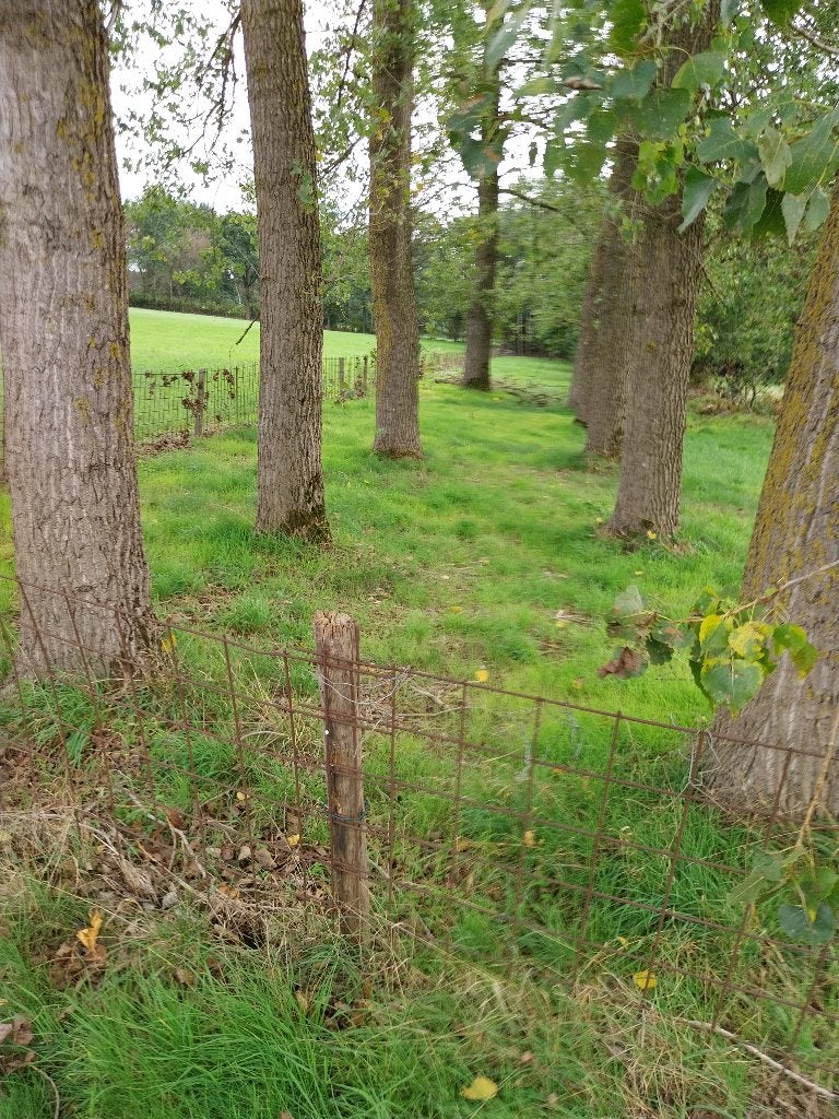 een stukje natuur grond Te koop, Oudsbergen, 1000 à 1500 m²