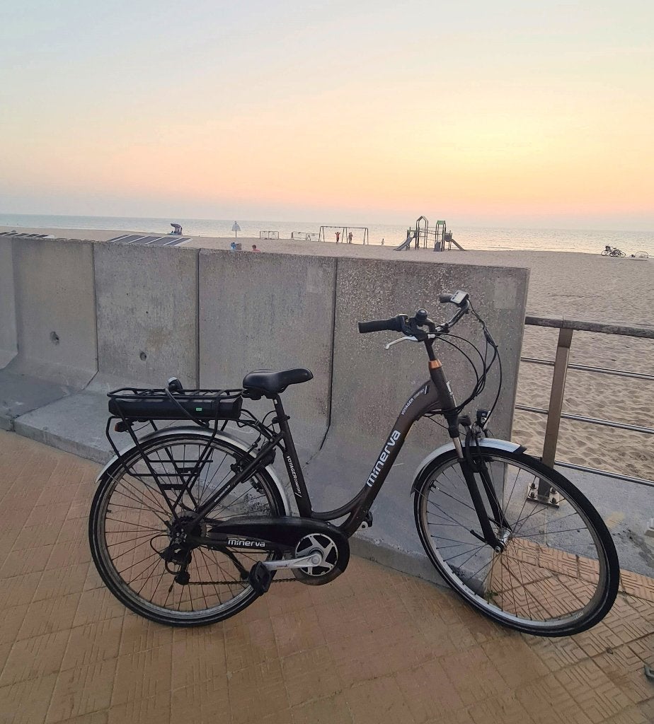 damesfiets elektrisch van het merk Minerva comfort voyager, 51 tot 55 cm, Ophalen, Zo goed als nieuw, 50 km per accu of meer
