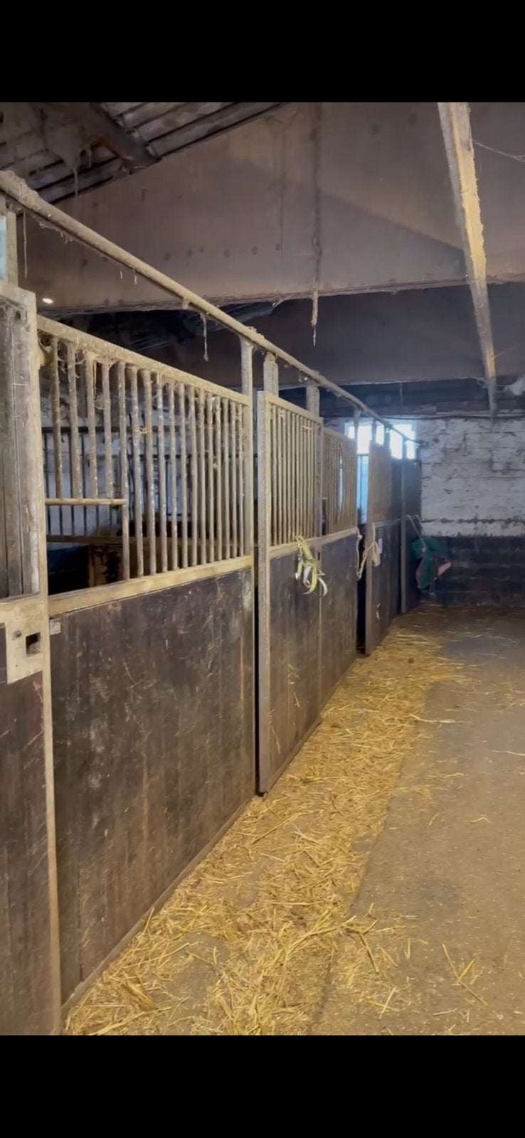 10 boxes pour chevaux à vendre