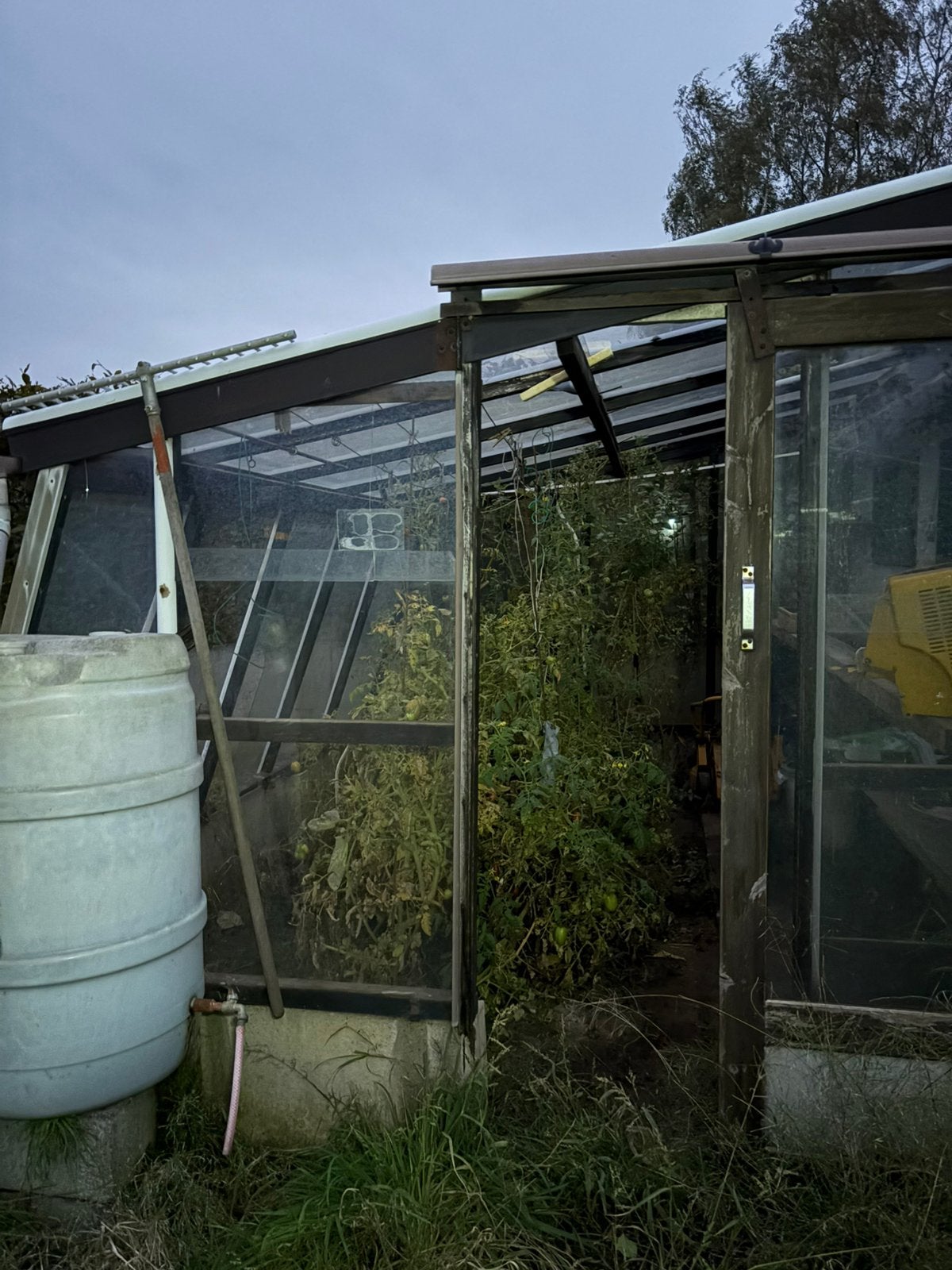 Serre plexi/glas, Jardin & Terrasse, Enlèvement, Verre, Utilisé
