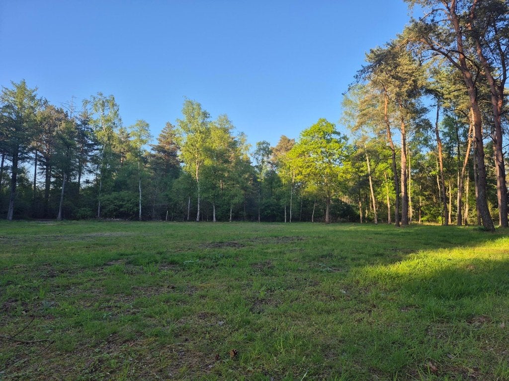 Mooie weide te koop te Achel, Immo, Terrains & Terrains à bâtir, Hamont achel, 1500 m² ou plus