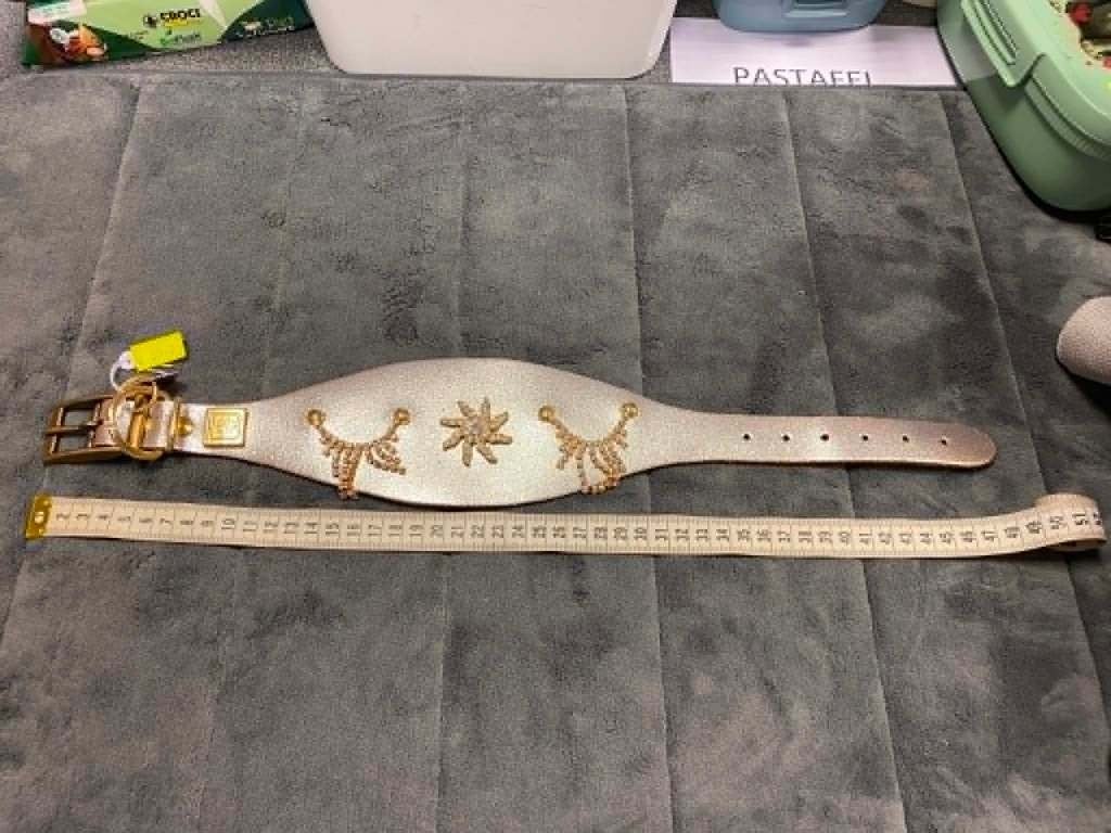 Luxe halsband aan outletprijsje !, Enlèvement ou Envoi, Neuf