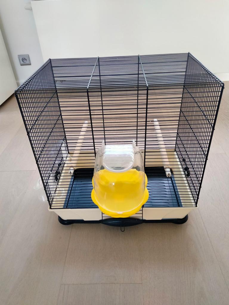Vogelkooi 45x30x45cm, Dieren en Toebehoren, Vogels | Hokken en Kooien, Ophalen, Vogelkooi