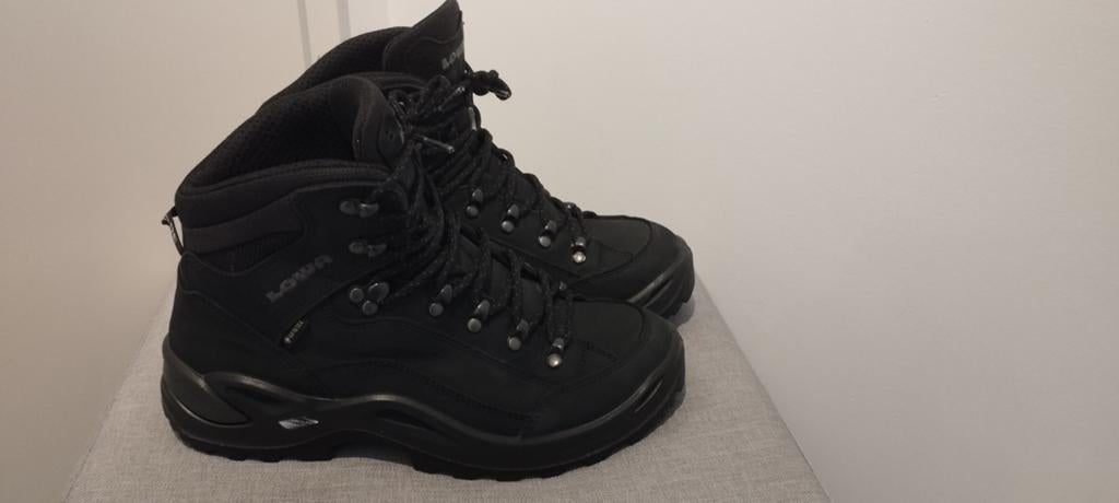 Lowa Renegade Goretex schoenen, Ophalen