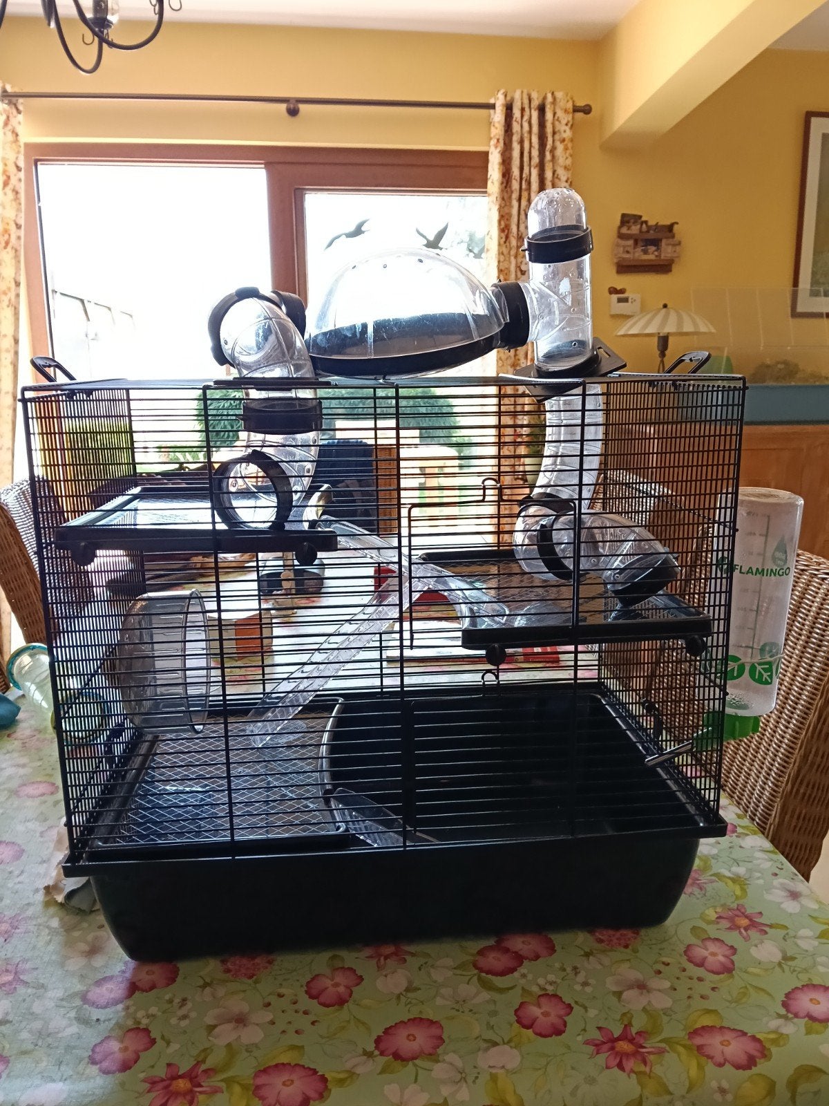 Cage pour petit rongeur, Animaux & Accessoires, Cage