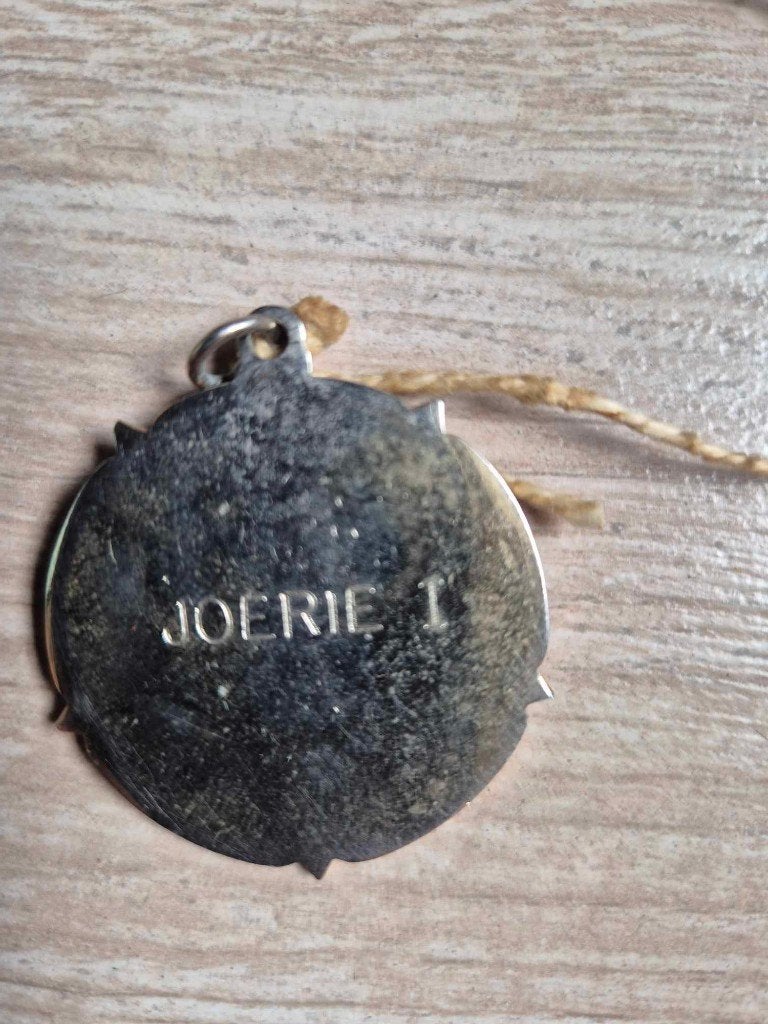 Carnaval medaille Prins Joerie I, Postzegels en Munten, Penningen en Medailles, Ophalen of Verzenden