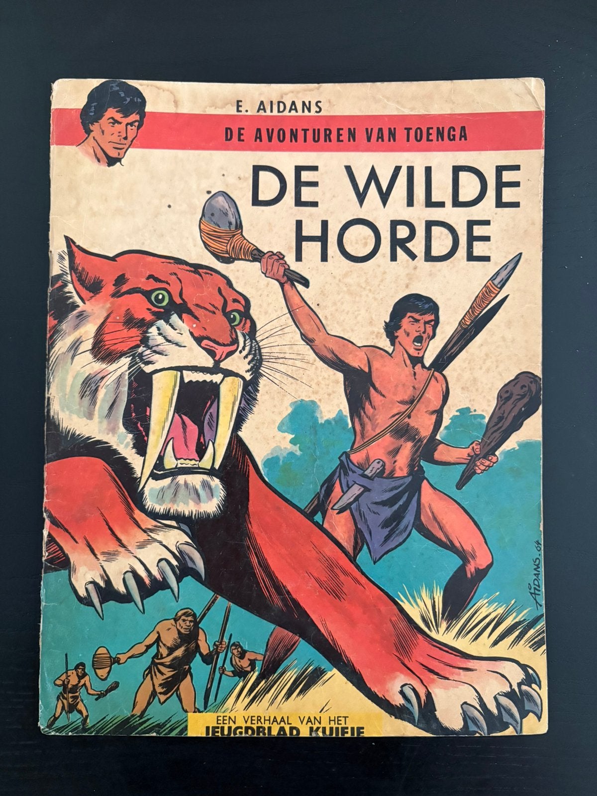 Aidans Juniorreeks Toenga De Wilde Horde, Verzenden, Gelezen