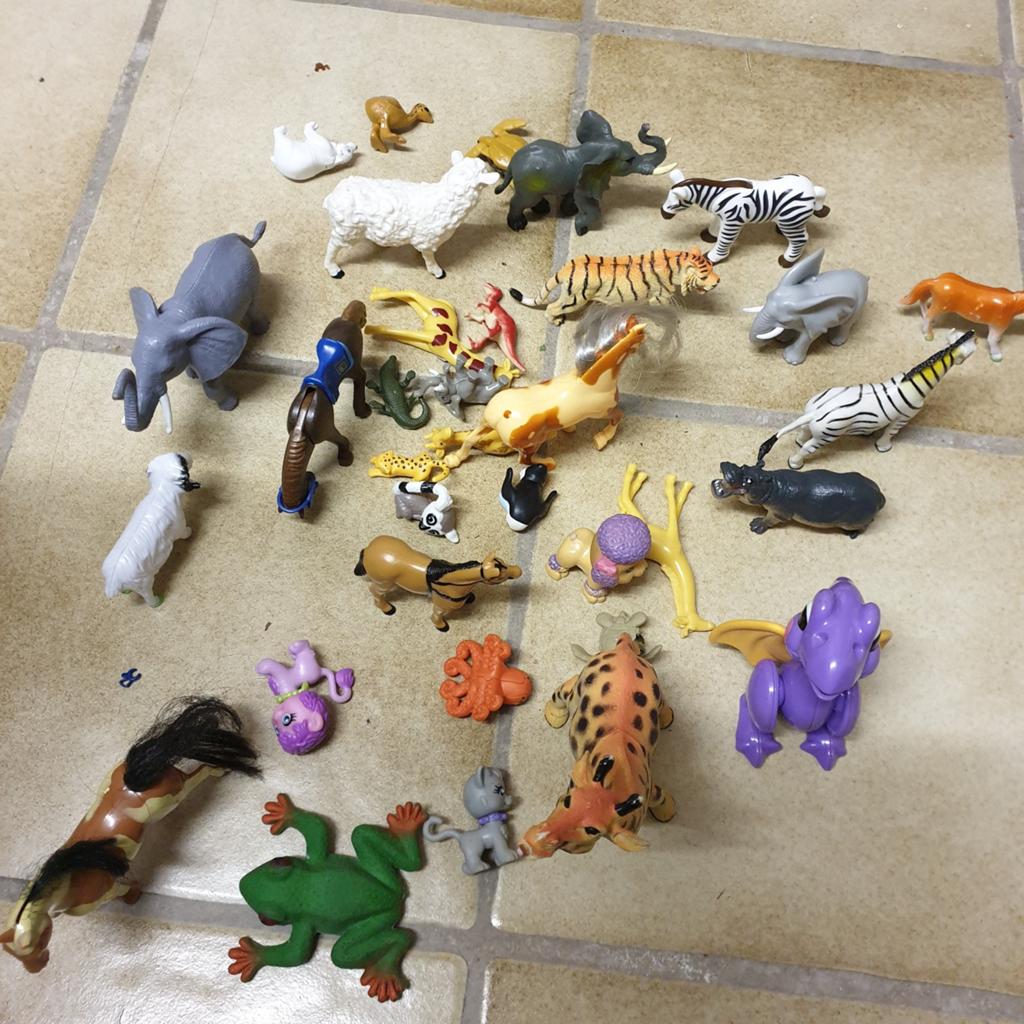Dieren, Kinderen en Baby's, Ophalen