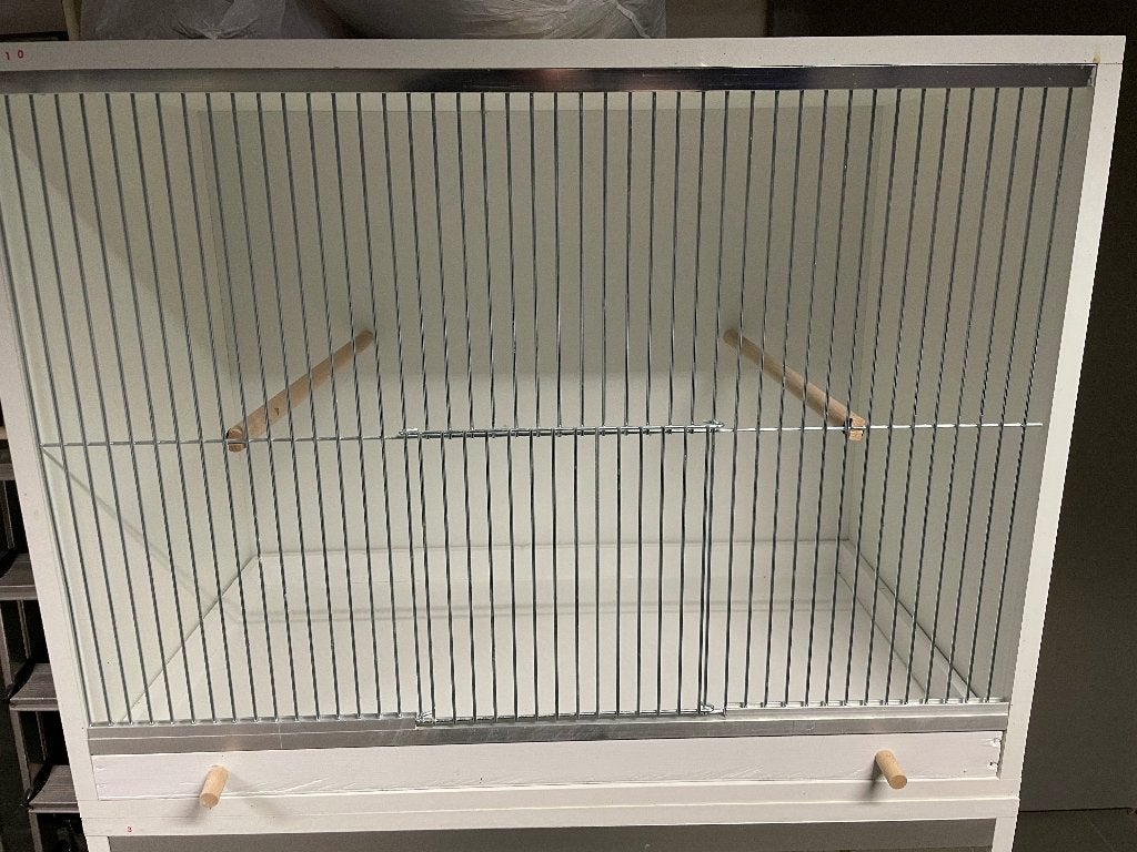 Vogelkooi, Enlèvement, Cage à oiseaux