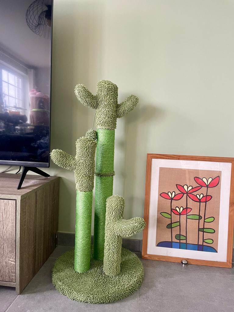 XL Cactus krabpaal katten – groot, stevig en modern design, Ophalen of Verzenden, Zo goed als nieuw, Krabpaal