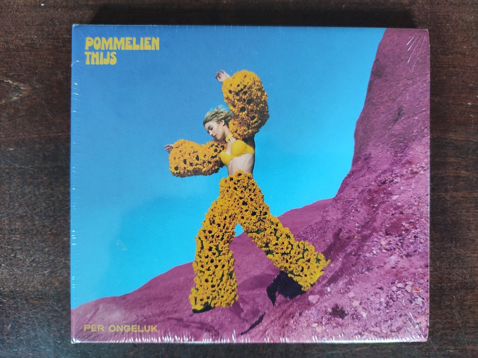 CD : POMMELIEN THIJS - ACCIDENTELLEMENT NOUVEAU !, Enlèvement ou Envoi, Neuf, dans son emballage