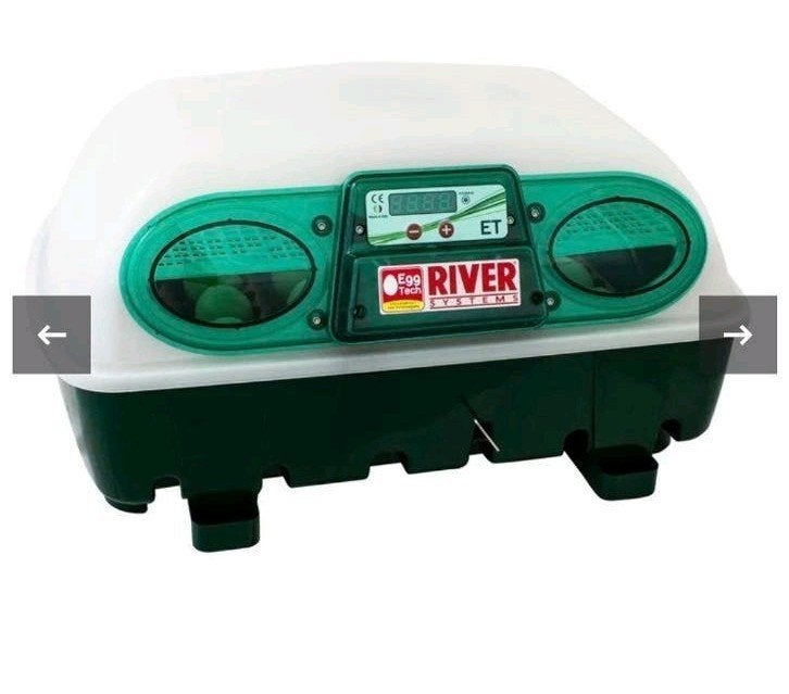 broedmachine river egg  tech, Enlèvement, Couveuse
