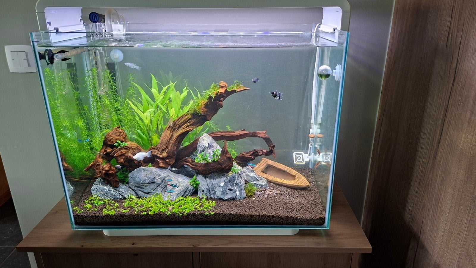 Aquarium, Ophalen