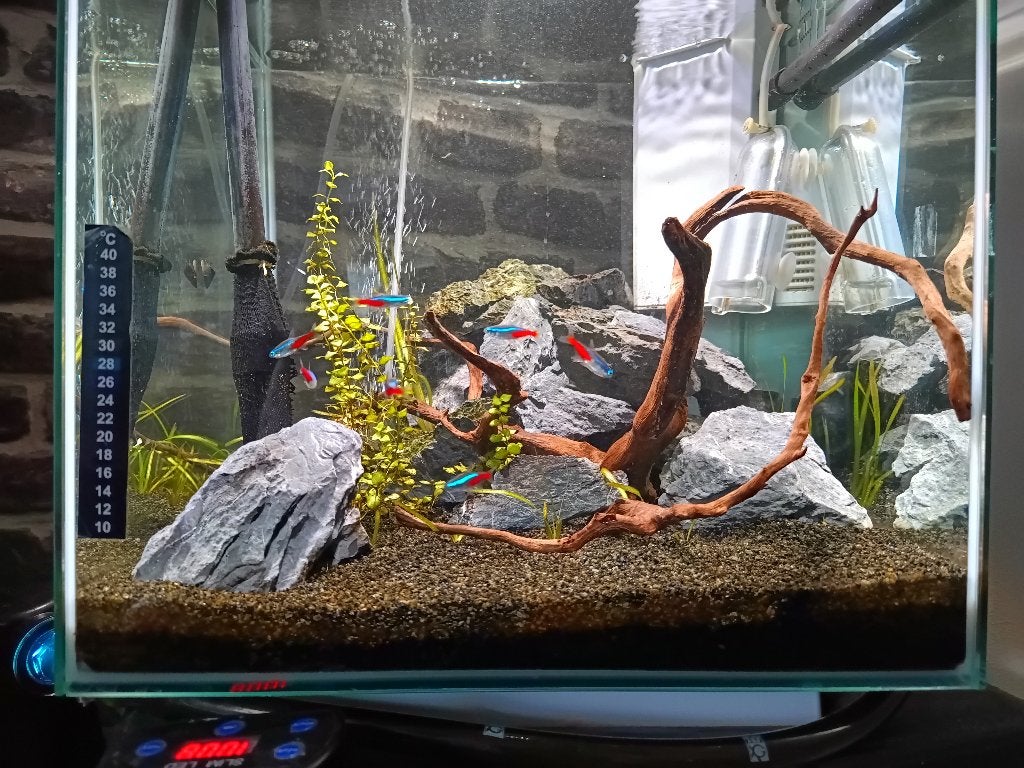 Aquarium, JBL, Poissons inclus, Enlèvement, Utilisé