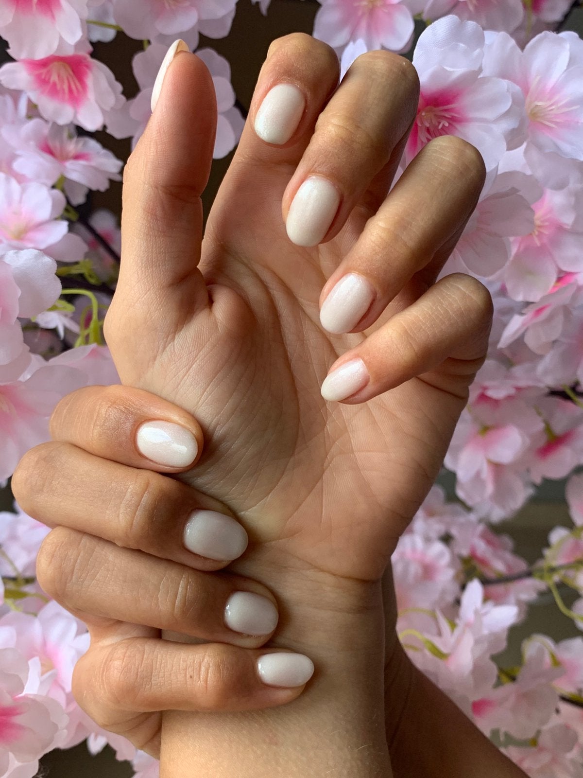Nagels – Nieuwe klanten welkom!, Enlèvement, Neuf