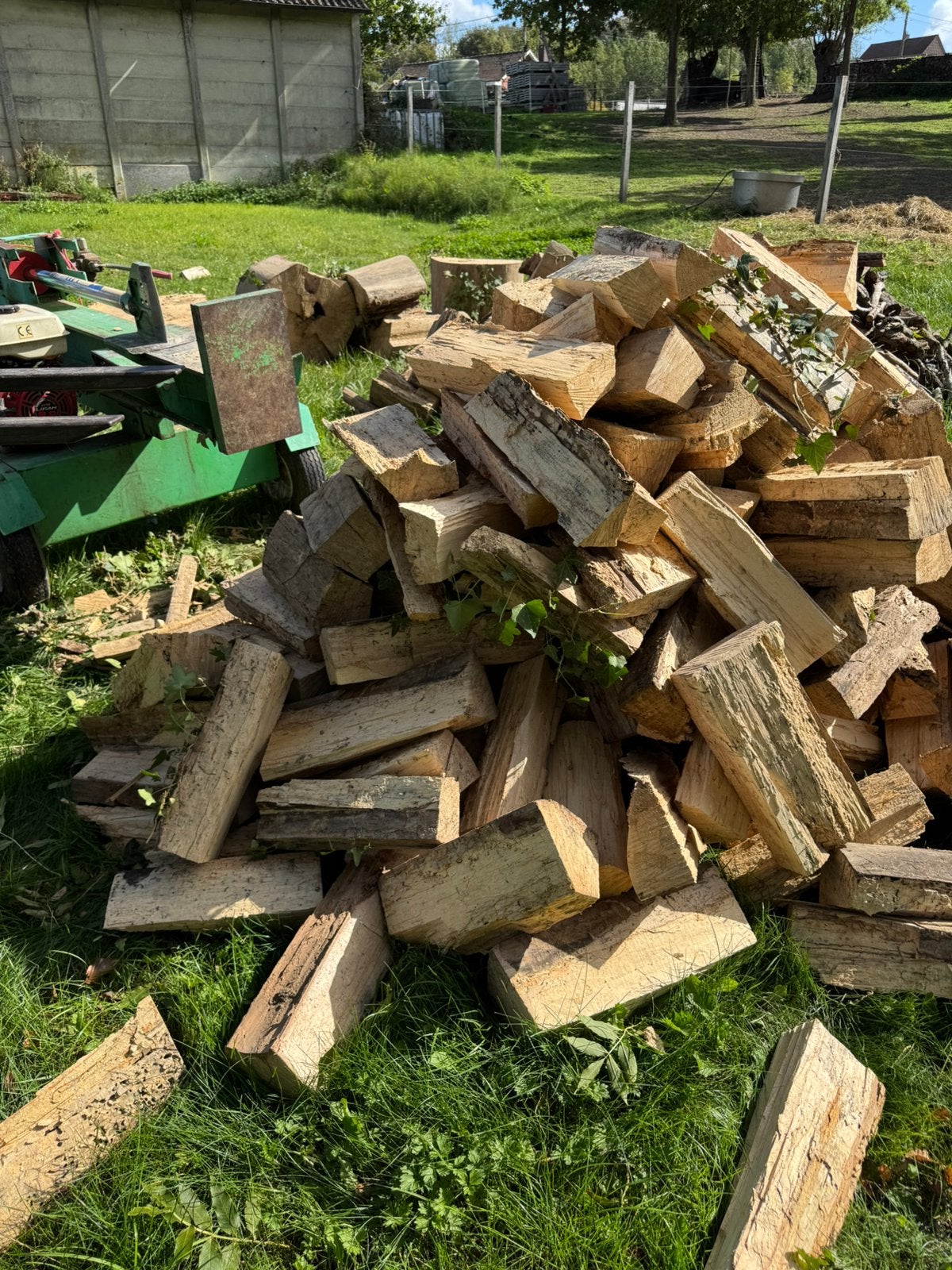 Bois de chauffage en hêtre sec, Jardin & Terrasse, Enlèvement