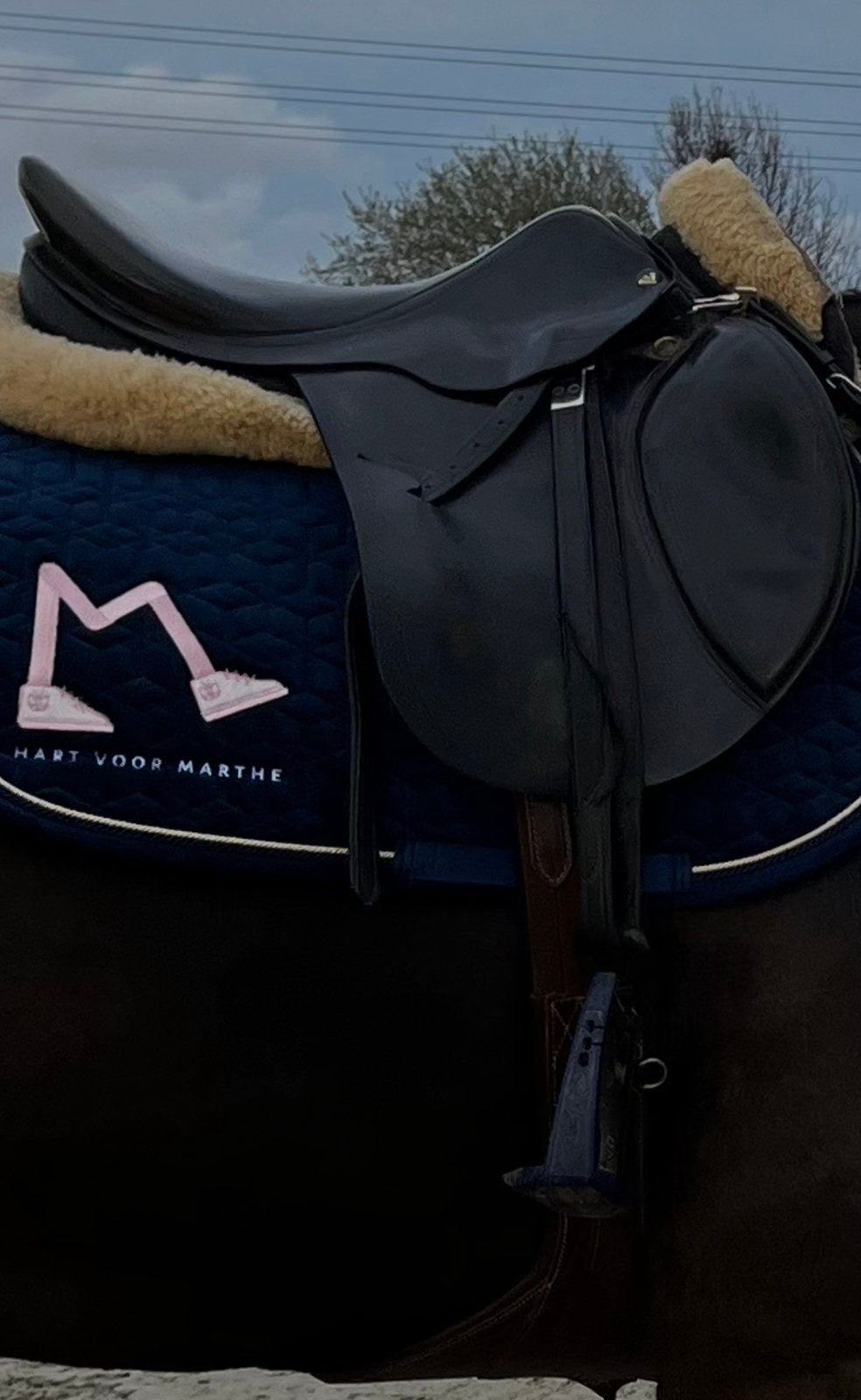 Prestige zadel Roma Jump, Gebruikt, M (17 inch), Prestige, Ophalen of Verzenden