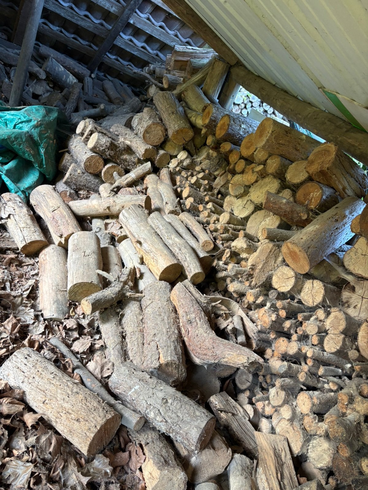 Brandhout / Haardhout droog 6 m³ – Gemengd loofhout, Tuin en Terras, Brandhout, Ophalen
