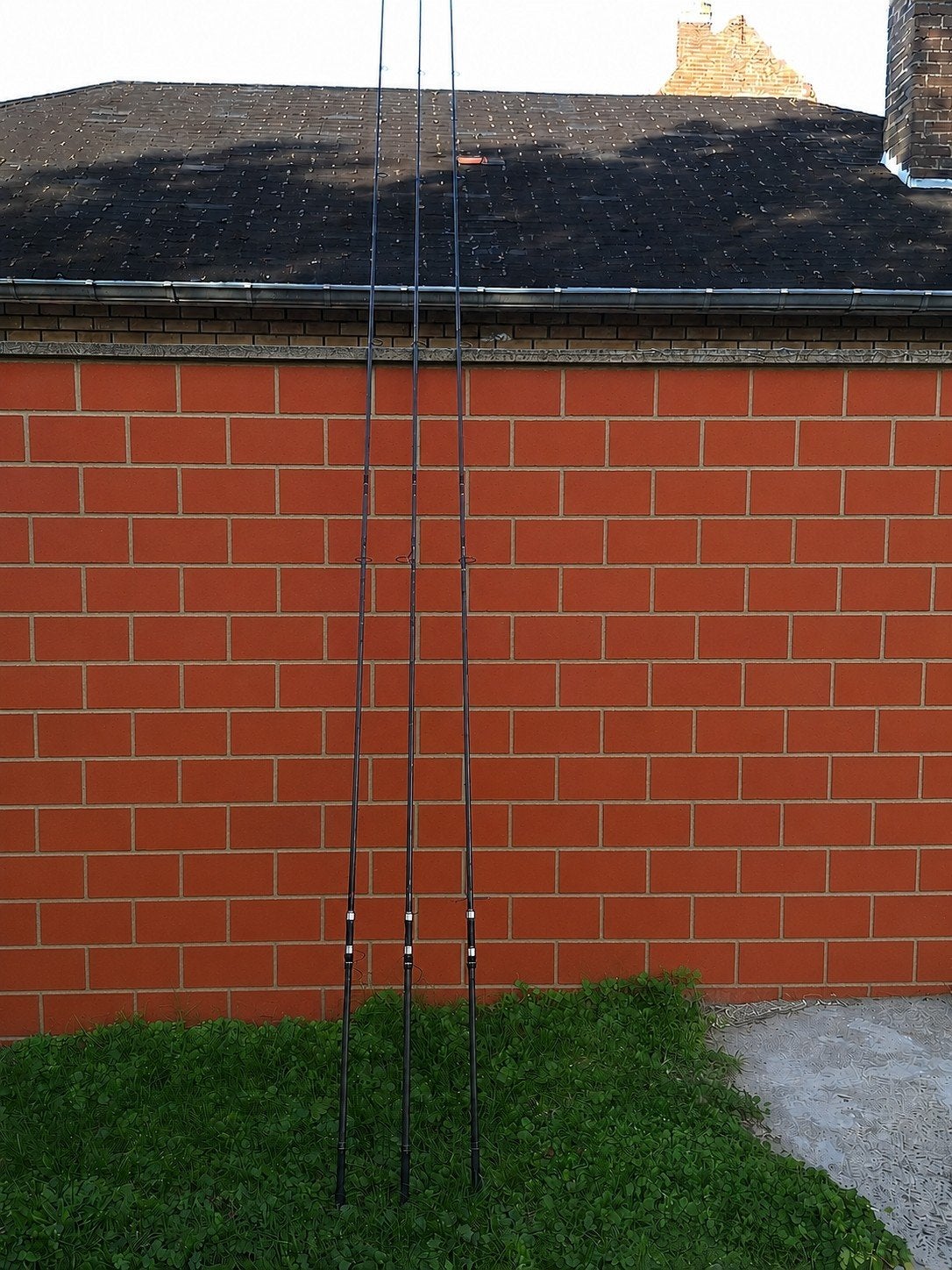 Topset: 3x Starbaits LCR 50 Karperhengels (12ft - 3.5lb - 50, Tuin en Terras, Ophalen