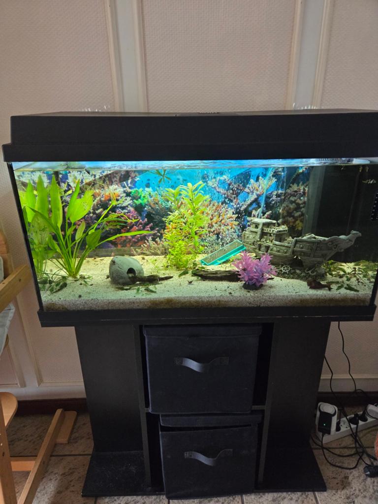 Juwel aquarium 80cm met onderkast en toebehoren, Dieren en Toebehoren, Ophalen, Filter, Juwel