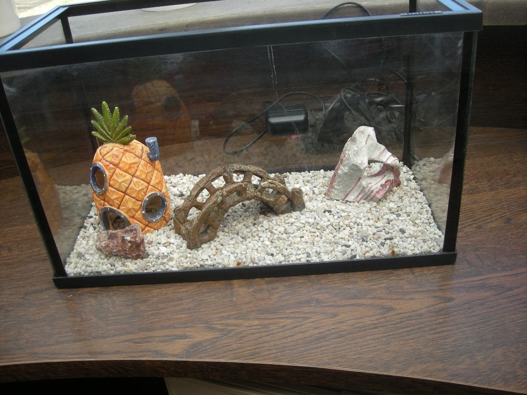 Aquarium voor goudvissen, Ophalen, Zo goed als nieuw, Leeg aquarium
