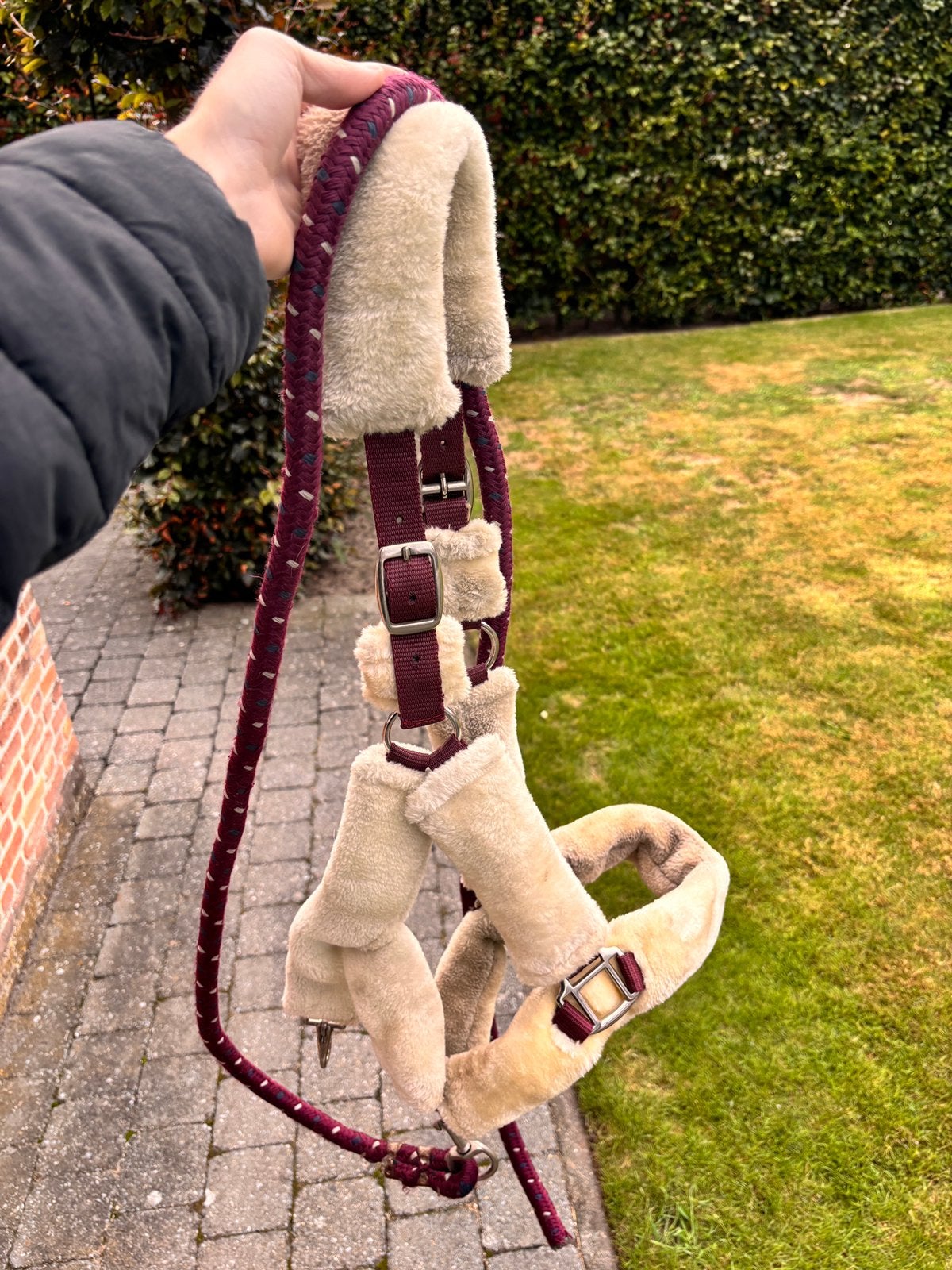 mooi halster, Dieren en Toebehoren, Ophalen of Verzenden, Zo goed als nieuw, Halster