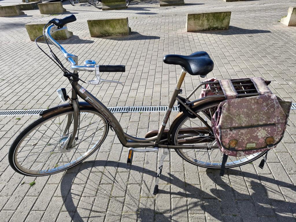 Damesfiets Step-In, Fietsen en Brommers, Fietsen | Dames | Damesfietsen, Ophalen