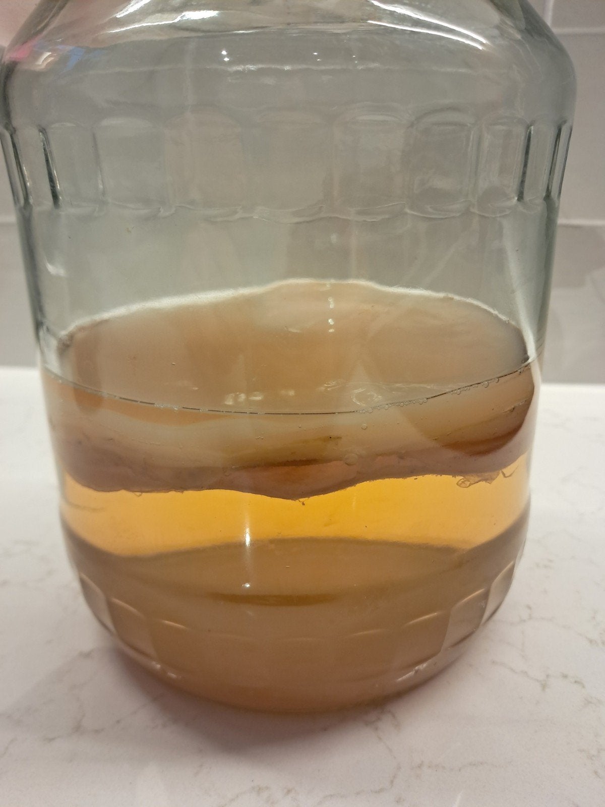 kombucha scoby, Diversen, Ophalen
