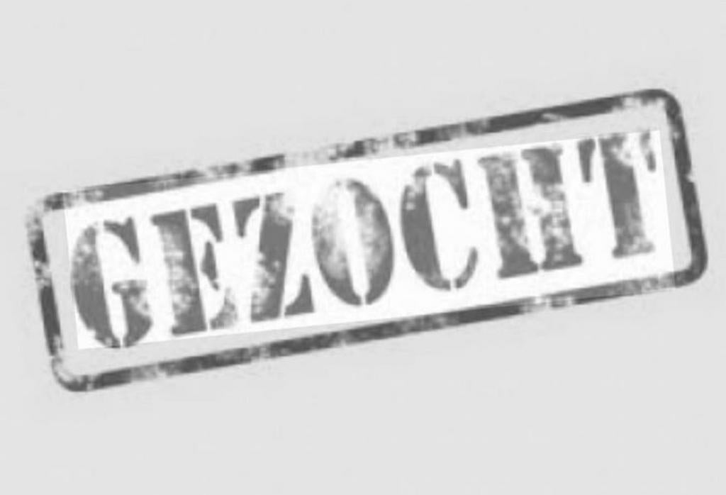 Braaf beginners paard, Dieren en Toebehoren