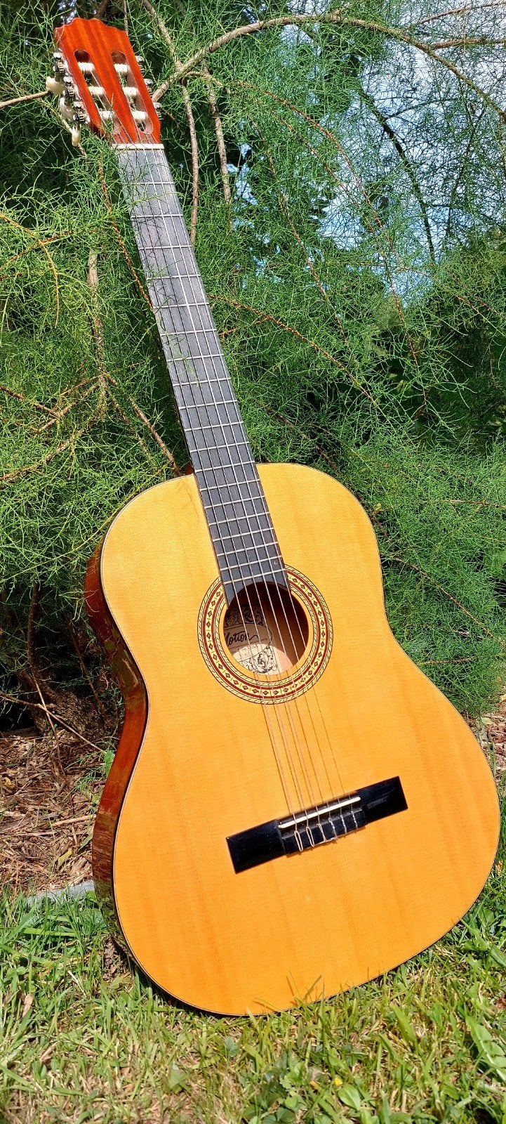 Guitare Stagg - TC-901, Musique & Instruments, Instruments à corde | Guitares | Acoustiques, Enlèvement, Comme neuf, Guitare classique ou espagnole