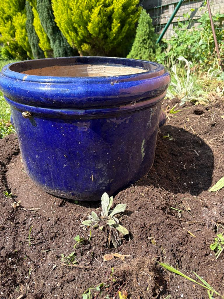 Jarres, Tuin en Terras, Bloempotten, Gebruikt, Aardewerk, Binnen, Balkon, Tuin, Minder dan 40 cm, 40 cm of meer, Rond, Ophalen