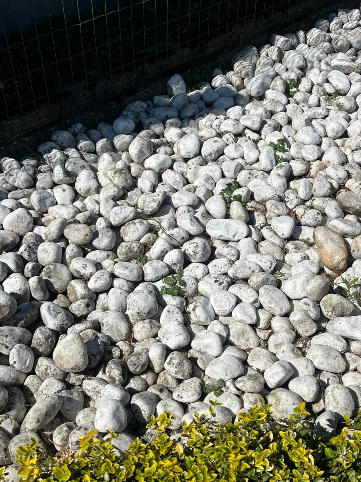 Gratis witte stenen, Tuin en Terras, Ophalen, Zo goed als nieuw