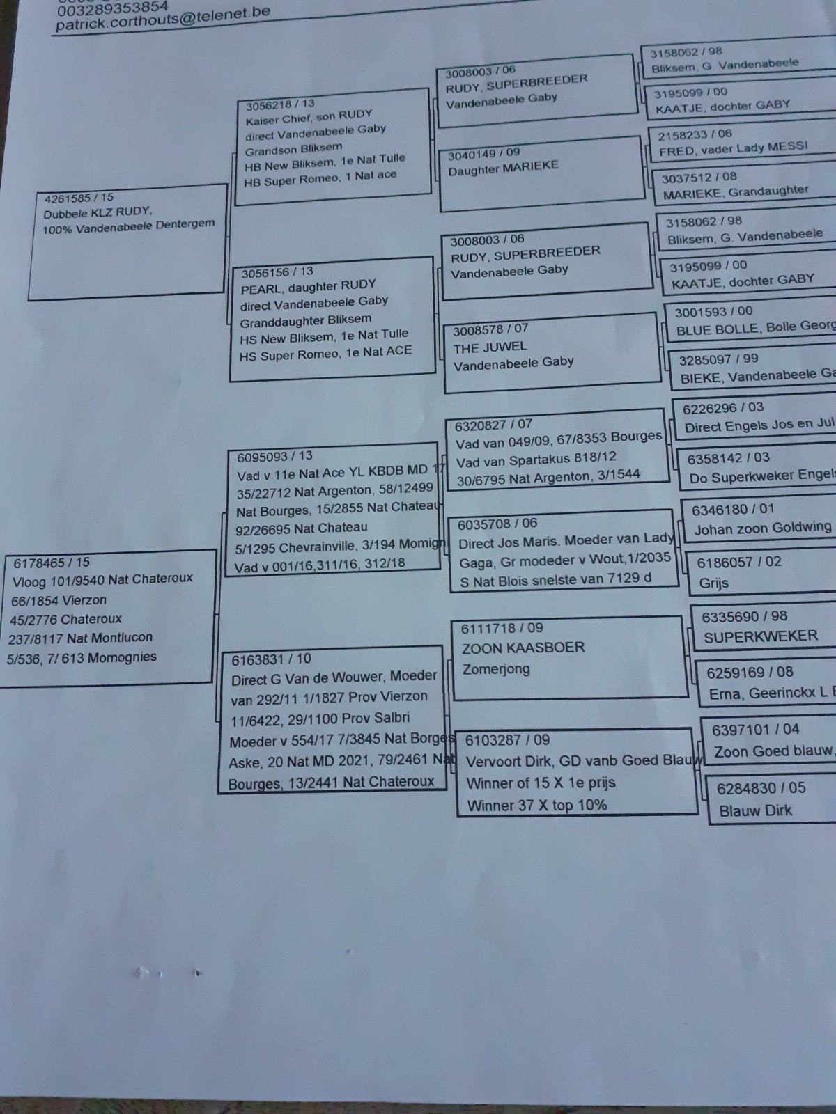 duiver blauwewitpen 2025