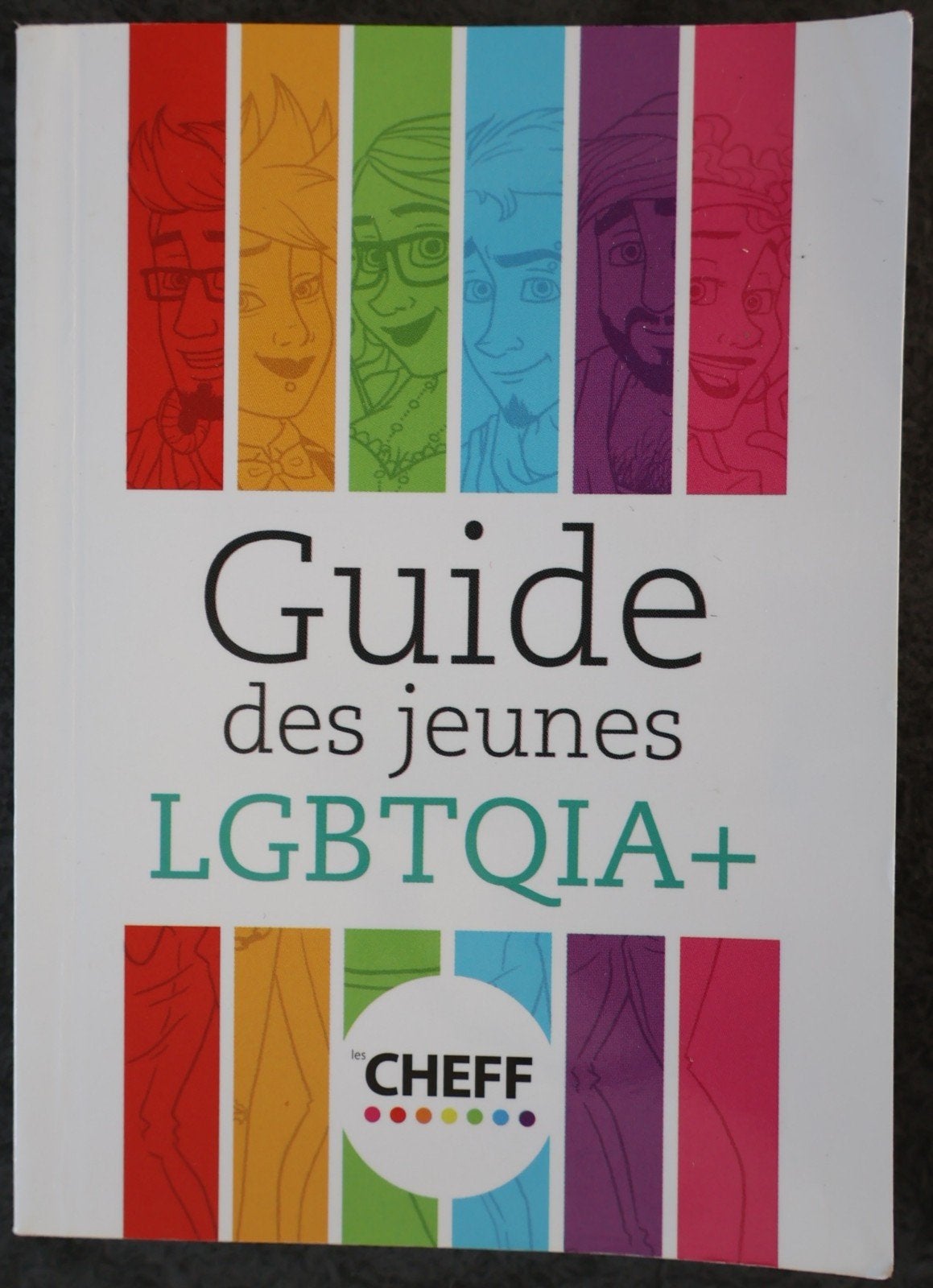 Livre d’information LGBTQIA, Enlèvement, Neuf
