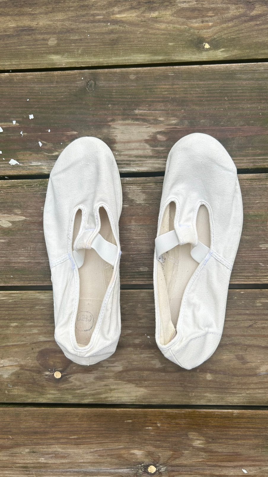 Chaussons de gymnastique — Taille 36, Enlèvement, Porté, Chaussures de sport, Blanc