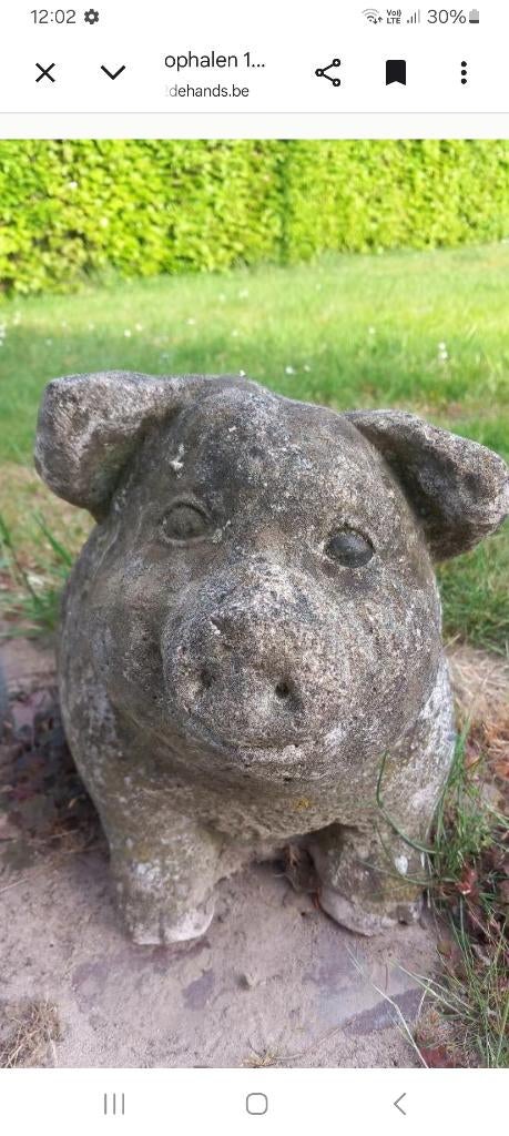tuinbeeld varken, Ophalen, Zo goed als nieuw, Beton, Dierenbeeld