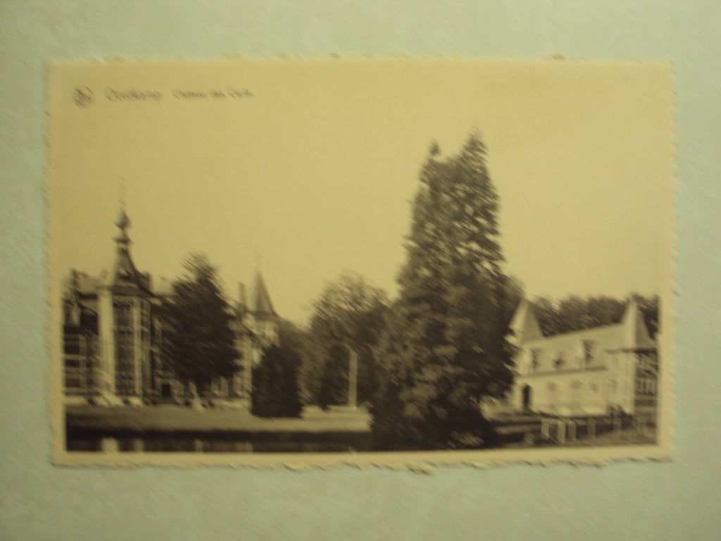 57441 - OOSTKAMP - CHATEAU DES CERFS - ZIE 2 FOTO'S, Envoi