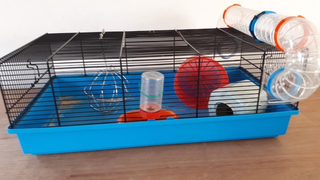 hamterkooi, Kooi, Gebruikt, Minder dan 75 cm, Hamster