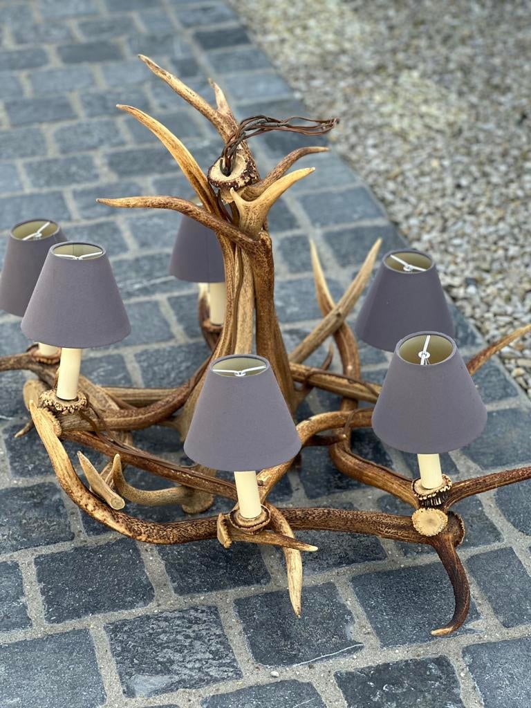 Gewei luster, Antiek en Kunst, Curiosa en Brocante, Ophalen