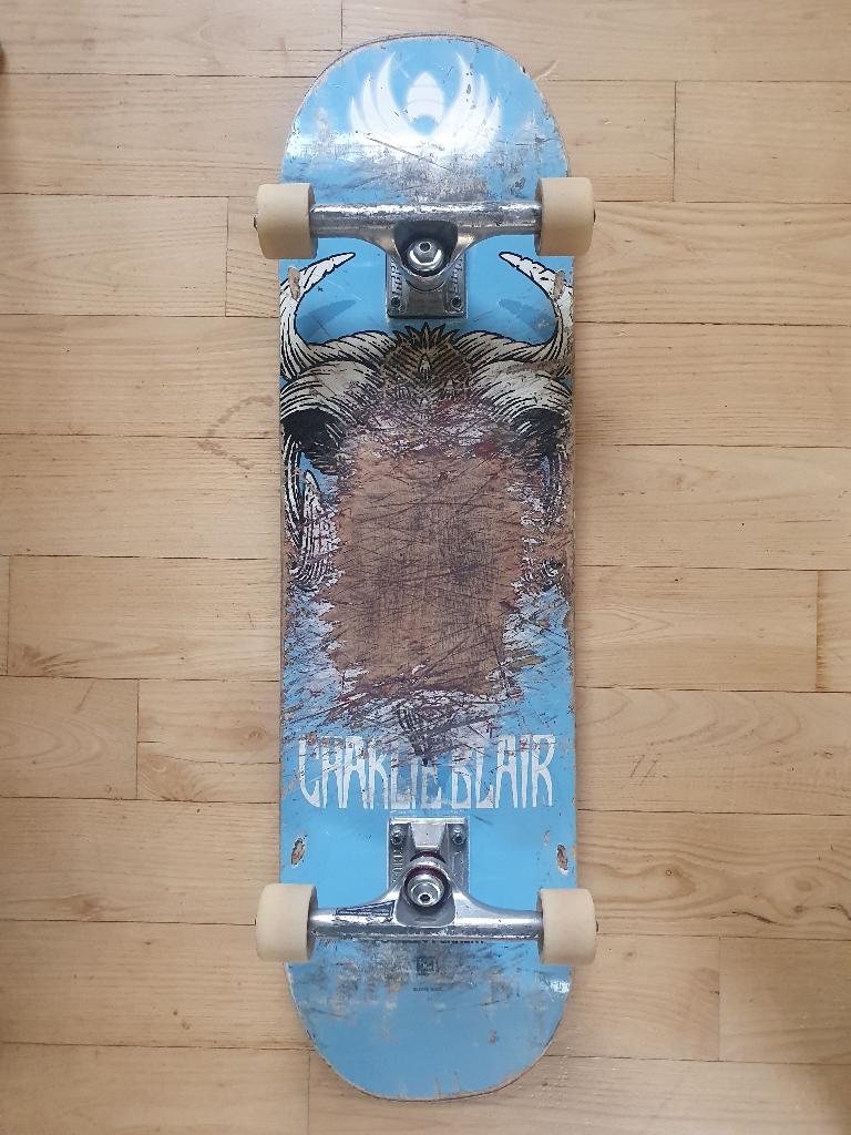 Skateboard 8.25; Powell, Spitfire, Slappy, Thunder, Bones, Enlèvement, Utilisé, Skateboard
