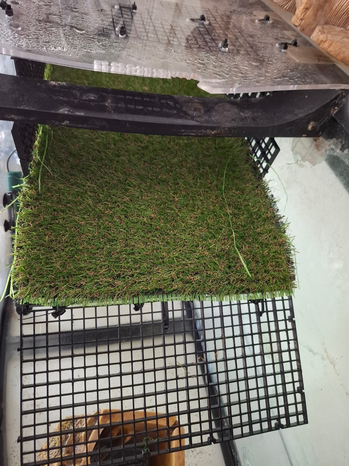 aquaruim met 3 schildpadden . elk bod is welkom, Animaux & Accessoires, Enlèvement, Utilisé, Terrarium ou Paludarium