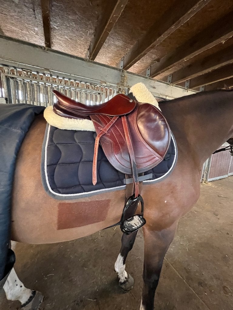 Cwd zadel, Dieren en Toebehoren, M (17 inch), Ophalen of Verzenden, Middeldiepe zit, Close contact