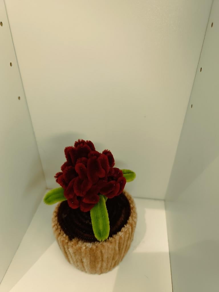Tulpen potje, Ophalen of Verzenden