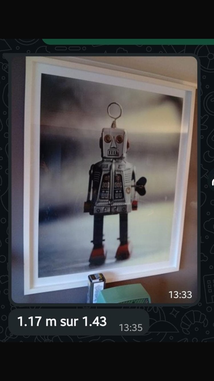 Cadre photo robot, Enlèvement, Utilisé, Cadre photo