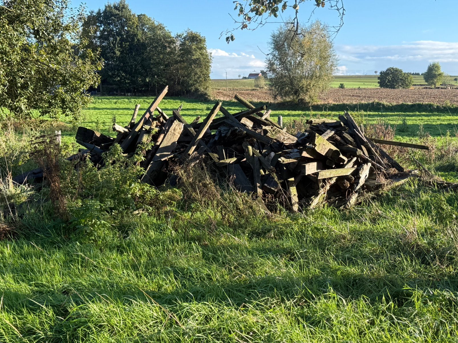 Gratis brandhout, Ophalen