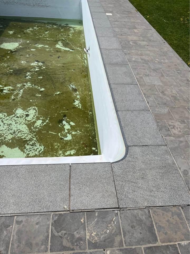 margelles de piscine en pierre bleue mouchetées, Enlèvement, Utilisé
