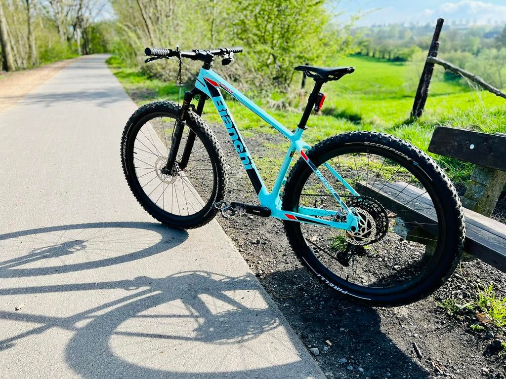 Bianchi Nitron Full Carbon, Hardtail, Heren, Zo goed als nieuw, Ophalen