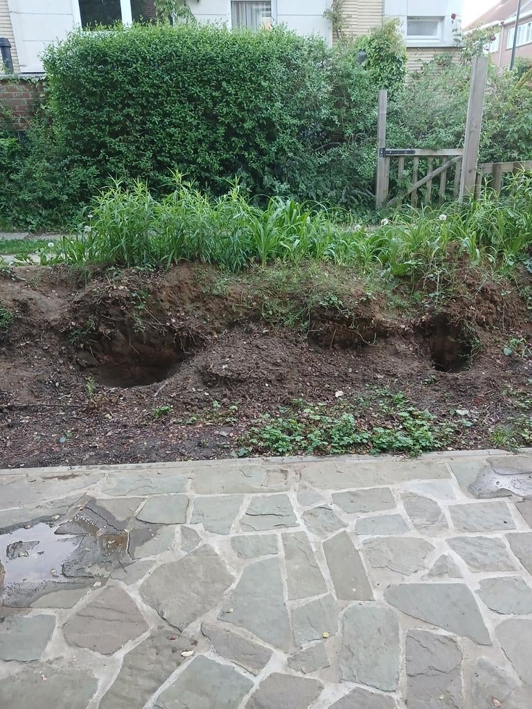 Terre de jardin à donner, Jardin & Terrasse, Terre & Fumier, Terre pour jardin, Enlèvement
