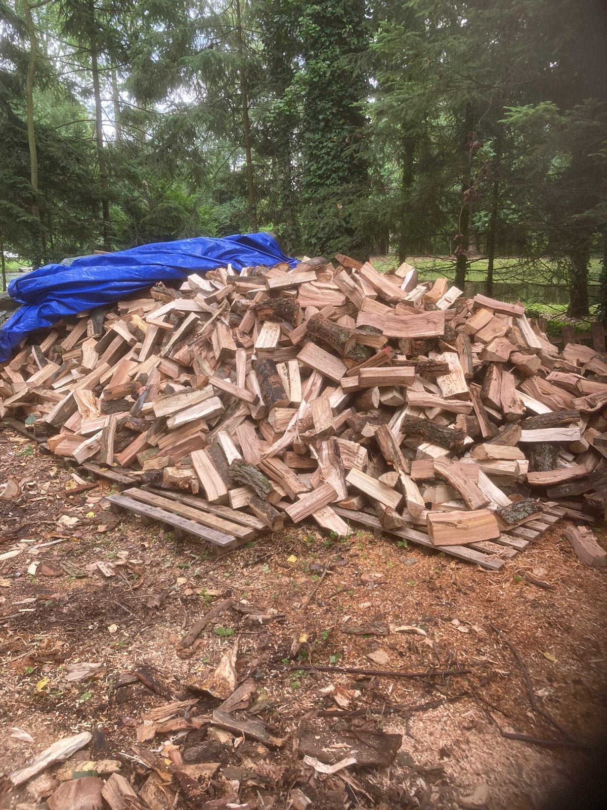 Droog brandhout, Tuin en Terras, 6 m³ of meer, Ophalen of Verzenden, Eikenhout, Blokken