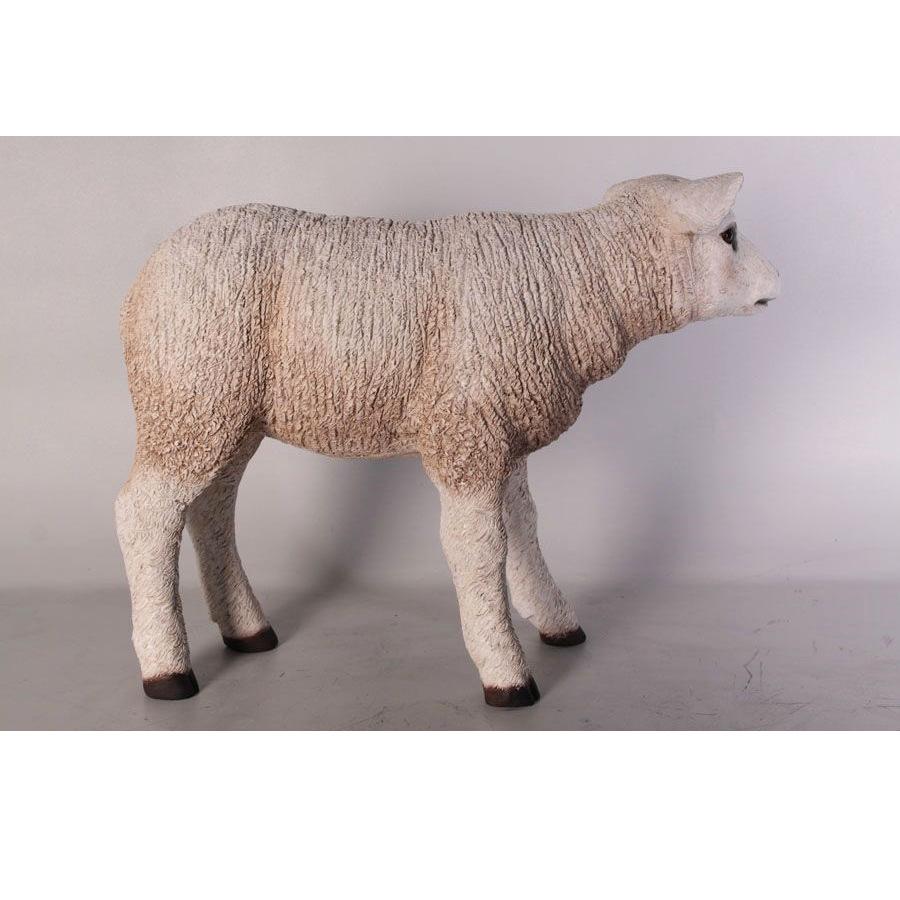 Texelaar Lam – Schaap beeld Lengte 58 cm, Ophalen, Nieuw